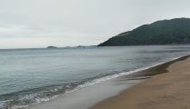 Quy Nhơn- biển và rừng